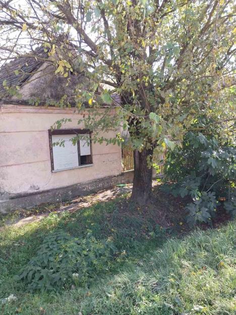 Prodaje se kuća u selu Ilinci