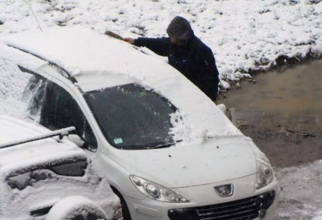 LOZNICA - Vozači imali posla.jpg