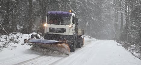 Snežne padavine (3).jpeg