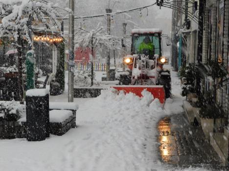 LOZNICA - Pešačka.JPG