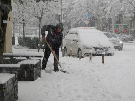LOZNICA - Čišćenje.JPG