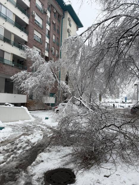 drvo blok 29 (5).jpeg