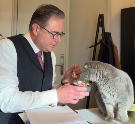 Mačak Barta de Vevera