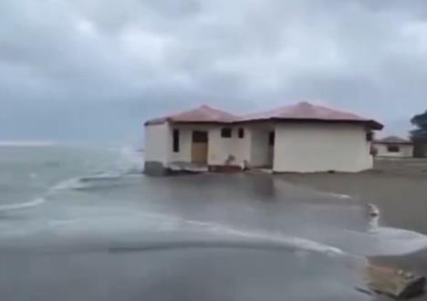 2026-01-05 16_46_14-(1) Ðetić on X_ _Kakva katastrofa na Adi Bojani. More odnosi kućice Država ništa.png