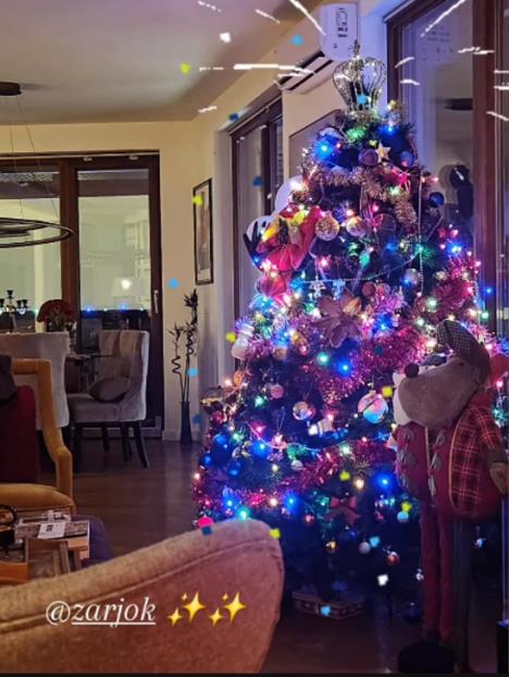 Milica Milša - novogodišnje ukrašen stan.jpg