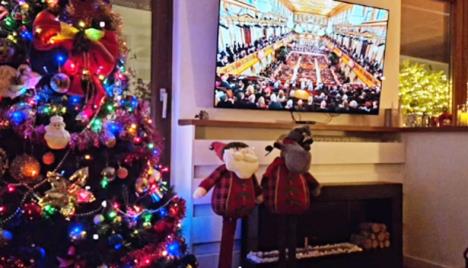 Milica MIlša - prizori iz ukrašenog stana.jpg