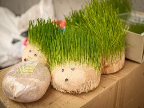 Badnji dan (15).jpeg