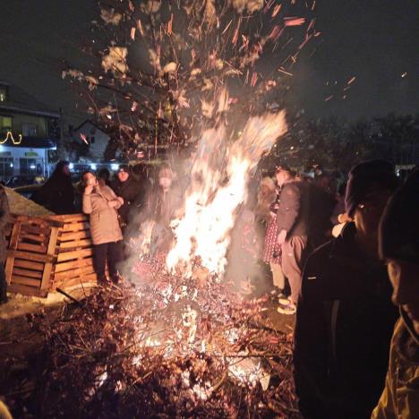 WhatsApp Image 2026-01-06 at 18.12.52.jpeg