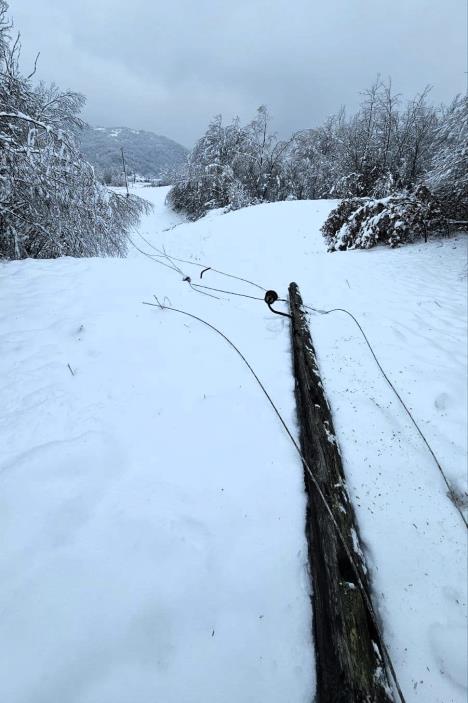 MALI ZVORNIK - Pale bandere.jpg