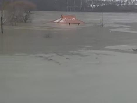 Drina - Rogačica 1.jpg