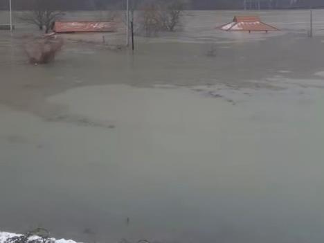 Drina - Rogačica.jpg