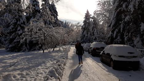 LOZNICA - Pokolovozu.jpg