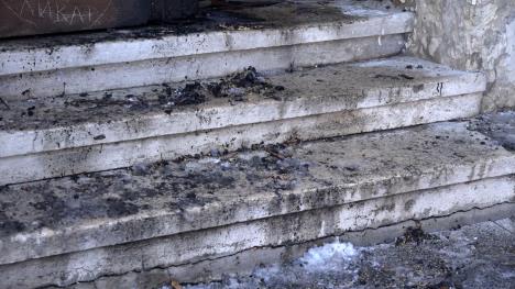 Zapaljena katedrala u Novom Sadu