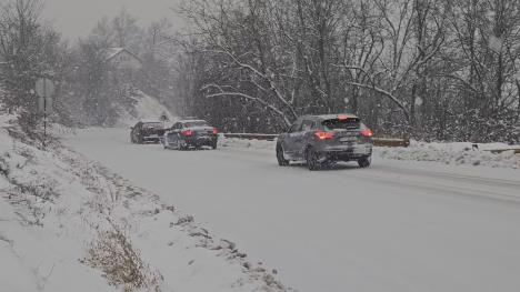 Automobili voze po mećavi na Zlatiboru