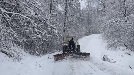Mećava sneg Zlatibor