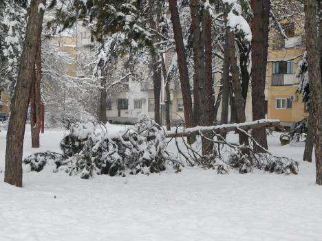 LOZNICA - Posledice.JPG