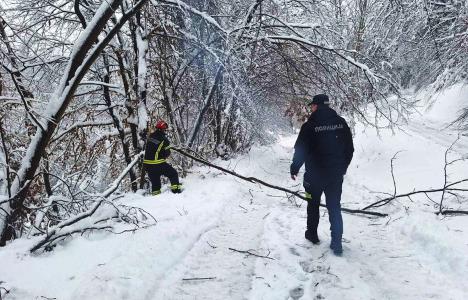 sneg snežne padavine