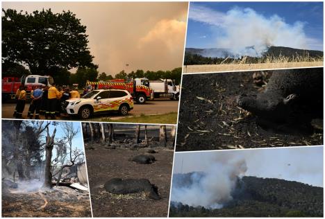 Australija požar (10).jpg