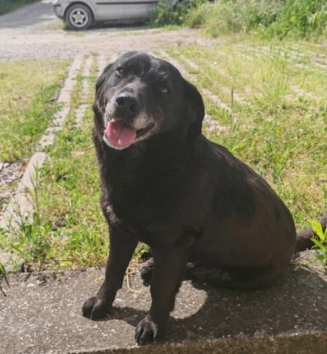 WhatsApp Image 2026-01-11 at 16.56.35.jpeg