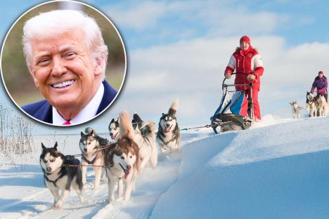 Donald Tramp Grenland