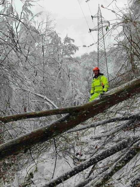 Elektromreža Srbije sneg