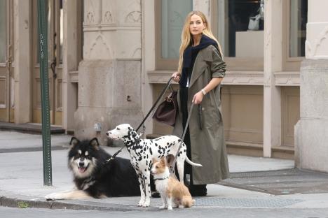 Dženifer Lorens šeta pse tokom snimanja reklame