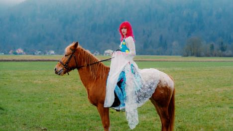 Zevin - spotić december 25-201.jpg