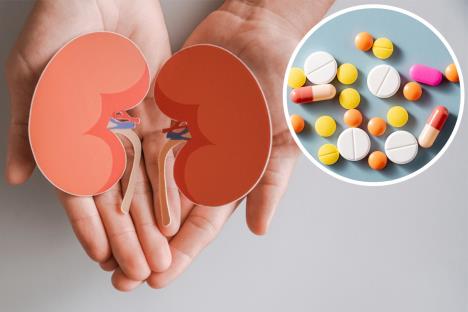 muškarac u rukama drži model bubrega/lekovi