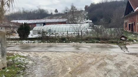 Milica Asanović Merošina