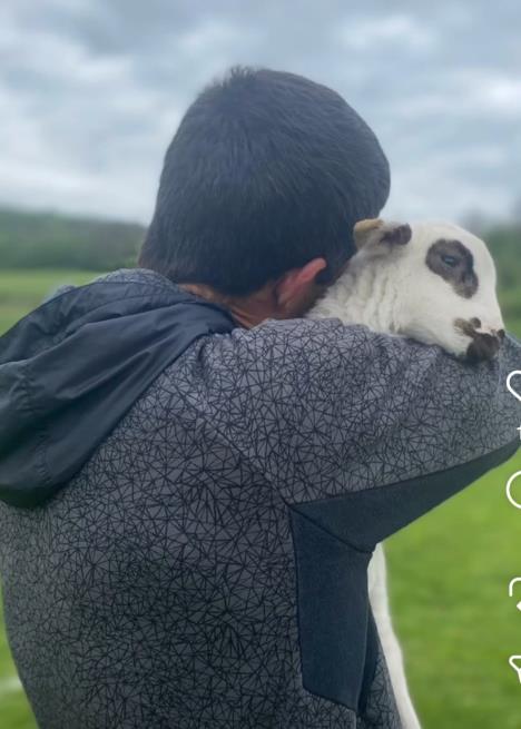 Sin Nade Topčagić živi sa ovcama i spava s njima