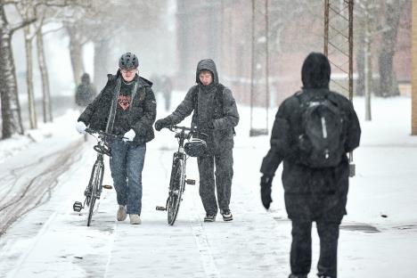 hladno vreme, sneg, Danska
