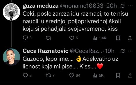 Ceca Ražnatović odgovara ljudima na Tviteru