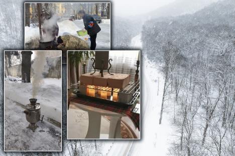 shutterstock_2722009369 copy.jpg