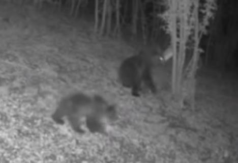 Screenshot 2026-01-17 200253.jpg