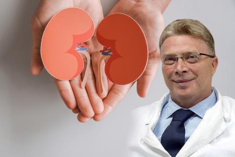 dr Rajko Hrvačević/model bubrega