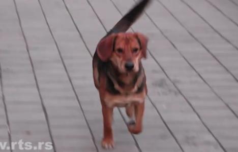 Screenshot 2026-01-19 184851.png