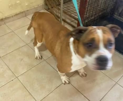 Screenshot 2026-01-20 150811.jpg