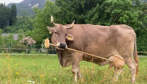 Screenshot 2026-01-21 114614.jpg