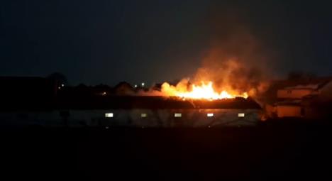 Screenshot 2026-01-21 174758.jpg