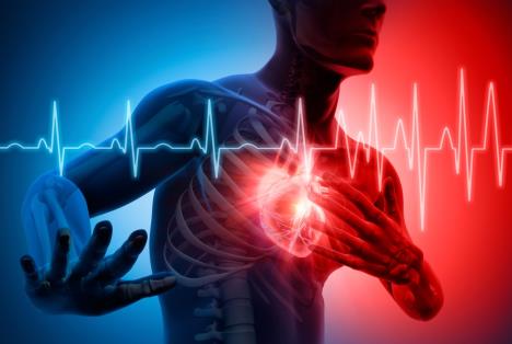 ilustracija unutrašnjosti čoveka koji se drži za srce/puls srca/