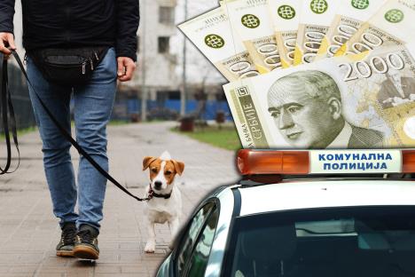 pas šetanje psa novac komunalna policija