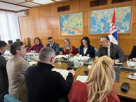 Jelena Žarić Kovačević na sastanku