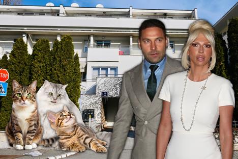 Jelena Karleuša Duško Tošić  mačke