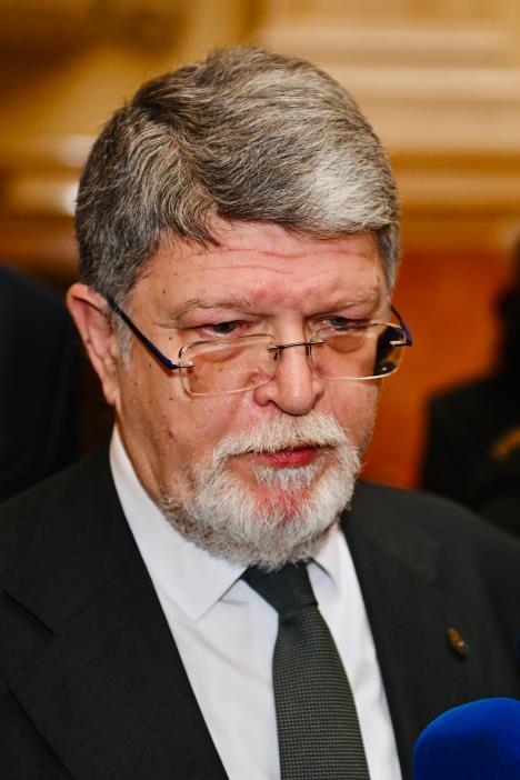 Skupština Srbije Tonino Picula Parlamentarna delegacija EU (10).jpeg