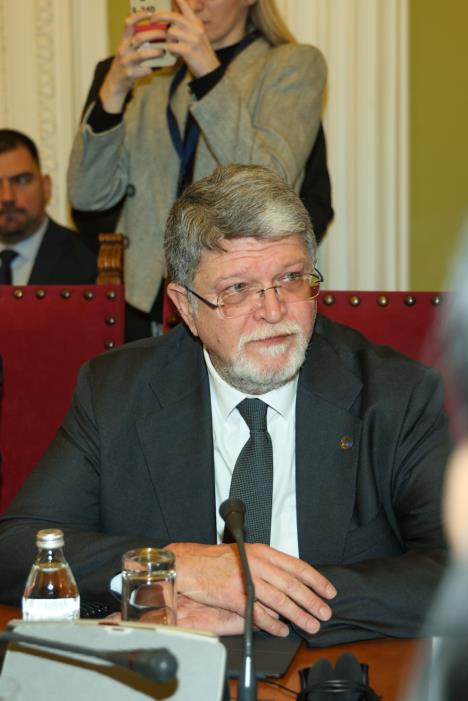 Skupština Srbije Tonino Picula Parlamentarna delegacija EU (2).jpeg