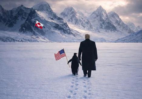 Donald Tramp, Grenland, pingvin