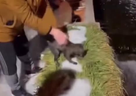 Screenshot 2026-01-25 142916.jpg