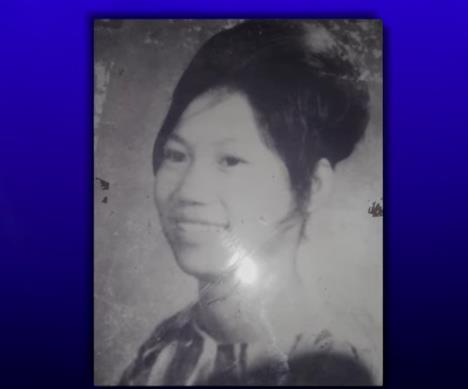 Vijetnam , usvajanje