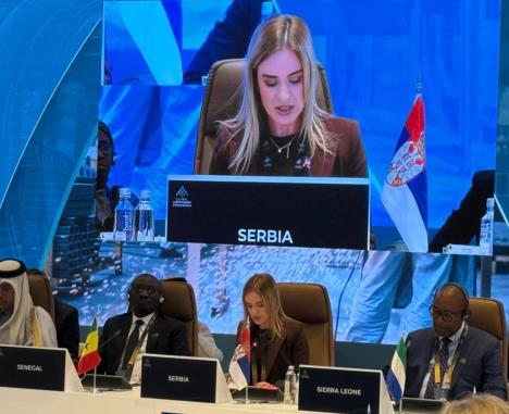 Milica Đurđević Stamenkovski