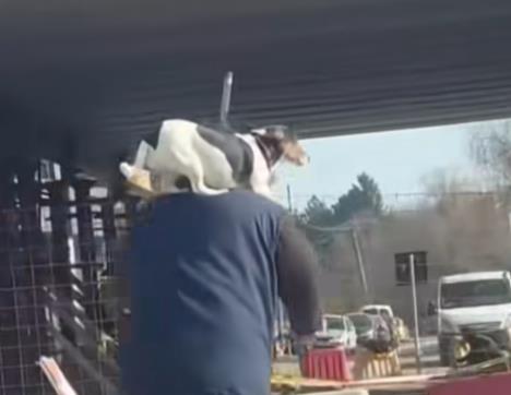 Screenshot 2026-01-26 114935.png